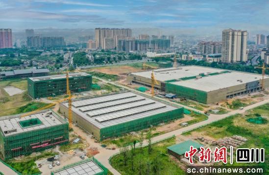 建行乐山分行助力川茶 点绿成金 茶叶