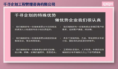 淮南千寻诚信丝苗米产业园项目立项报告 商业策划创新服务